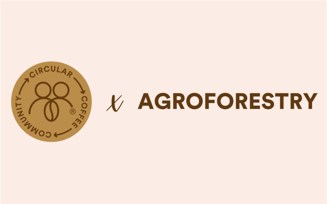 Circular Coffee Community x Agroforestry